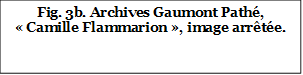 Fig. 3b. Archives Gaumont Pathé, « Camille Flammarion », image arrêtée.