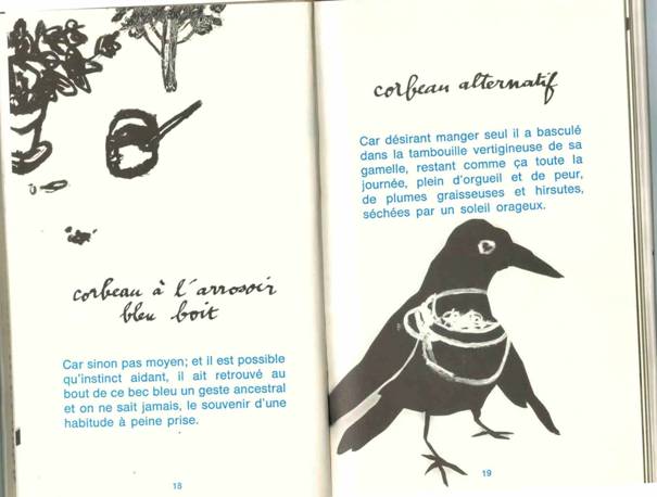 L Oiseau En Poesie Pour La Jeunesse Entre Realite Et Symbole